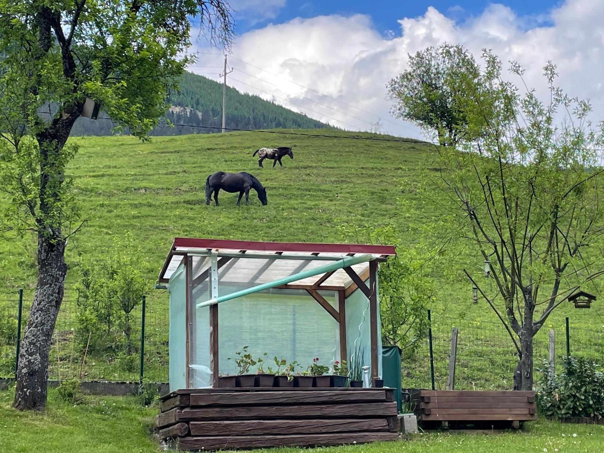 Apartment Sonne&Luft Bad Bleiberg Esterno foto